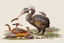 Placeholder: John James Audubon-like illustration of a fully uncropped Dodo bird and a Platypus in a landscape of warm yellows, warm reds, and warm blues