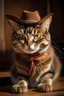 Placeholder: cowboy cat