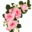 Placeholder: Pink roses, crisp detail, photograph