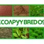 Placeholder: company logo, biogenesis, herbs, genetics