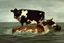 Placeholder: cow swimming in deep water by Caravaggio