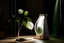 Placeholder: multifunction portable light inspired by leaf nature with aesthetic minimalist design