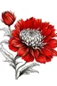 Placeholder: Red flower illustration defined and detailed with white background