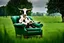 Placeholder: A cow sitting on an armchair in large green field