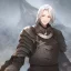 Placeholder: A nord male battlemage from Skyrim, full plate nordic armor, white hair of medium length, hearty, smiling