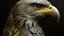 Placeholder: A gray ice elemental bald eagle designed in Mehndi design painted by George Inness