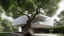 Placeholder: Modern minimalist house built around an ancient tree.