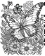 Placeholder: whimsical butterfly and flower, for adults