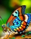Placeholder: Beautiful creations of a butterfly