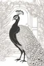 Placeholder: baby colouring book, Lovely peacock, black and white line art,cartoon style, thick lines, few details, no shading