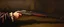 Placeholder: master oil painting by Rembrandt, shotgun mozart