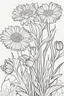 Placeholder: flowers coloring page for kids, aster, cartoon style, thick outline, low details, no shading, no color