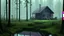 Placeholder: cabin in a clearing in the swamp