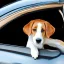 Placeholder: Portrait of a dog in car