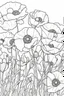 Placeholder: flowers coloring page for kids, poppy, cartoon style, thick outline, low details, no shading, no color