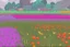 Placeholder: flower field 64 x 64 pixel