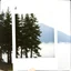 Placeholder: A polaroid photo of a group of fir trees in the background and a high hill in the distance. A lake. The surface below is in a pastel color. Person. Fog is present.