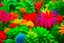 Placeholder: Colorful and beautiful plants .