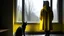 Placeholder: A person wearing a yellow raincoat is standing in a deserted room looking out a window. A black cat is sitting nearby, watching the person.