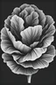 Placeholder: lettuce black and white icon style