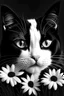 Placeholder: Draw me a black and white cat with flowers in high quality 8k