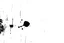 Placeholder: an inky blob on a scratched up texture creeping from one corner to the opposite, white on black vector