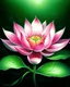 Placeholder: Lotus flower