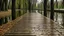 Placeholder: An outdoor medium shot view of a wooden walkway. The wooden planks are engraved to show the reflection of many trees with dead leaves and water in a green pond, but have some small brown and gray pebbles on the surface. A dark, dreary lake is beyond the walkway, creating an angle for the large tree trunk to the right. Many bare branches are hanging down from top to bottom of the tree. In the distance multiple sinister rays can be seen near an entrance to a house. Green grass borders the garden a