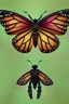 Placeholder: spider monarch butterfly hybrid