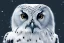 Placeholder: KNIGHTWING snow OWL FALCON