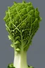 Placeholder: Brassica oleracea 'Romanesco