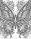 Placeholder: Page coloring book, mandala butterfly, white Background, clean line art, flower