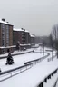 Placeholder: snow falling in slough