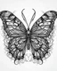 Placeholder: realistic butterfly tattoo idea, line art, background, vector, svg, black outline on white background, leave plenty of white space beetween lines for coloring, tattoo style, tattoo idea