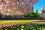 Placeholder: city, flowers, trees, sunny day, spring