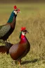 Placeholder: I'm not a pheasant plucker