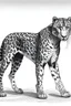 Placeholder: Draw Arabian leopard full body