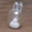 Placeholder: transparent ice crystal rabbit