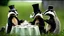 Placeholder: Anthropomorphic European badger wearing a tophat and having a tea party with his other anthropomorphic animal buddies. Photograph.
