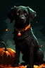 Placeholder: graphic Halloween, black dog, furry