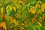 Placeholder: A brown jungle with bananas painted by Paul Ranson