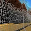 Placeholder: Monuments of Washington DC Protected by a Barbed Wire Fence