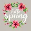 Placeholder: "Illustrate a spring greeting card with 'hello spring' written in playful, cursive letters. The text should be integrated with a floral wreath, featuring hibiscus-style flowers and rich green foliage."