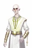 Placeholder: full length, gangly, 22-year old, shaved head, grey-eyed female human cleric with a beaded necklace wearing scale mail