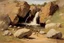 Placeholder: Sunny day, rocks, waterfalls, rocky land, mountains, friedrich eckenfelder and alfred stevens impressionism paintings