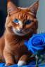 Placeholder: ein roothaariger Kater hält eine schöne blaue Rose in der Pfote