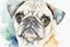 Placeholder: Pug sketch portrait watercolor, white background, vibrancy of watercolor wash, highly detailed, with sharp focus and smooth transitions. Carne Griffiths, Wadim Kashim, Carl Larsson, Pascal Blanche, golden ratio, masterpiece, trend on CGSociety and Artstation, bottomless, impressive, something that does not even exist, textures, iridescent scales and luminescent, impressive beauty, pure perfection, divine presence, unforgettable beauty, impressive, impressive, volumetric light,