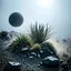 Placeholder: A striking quality photograph captures a wasteland with plants, creepy, details of the dust very accentuated, glossy organic mass, adorned with minerals and rocks. Bathed in intense light, eerie, Max Ernst and Yves Tanguy style, black sun, fog, volumetric light, octane render