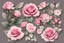 Placeholder: Pink rose flowers clipart pack, high quality png images,journalling, scrapbooking, digital ephemera, flower stickers, commercial use