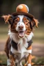 Placeholder: Perro con una gorra y jugando a la pelota